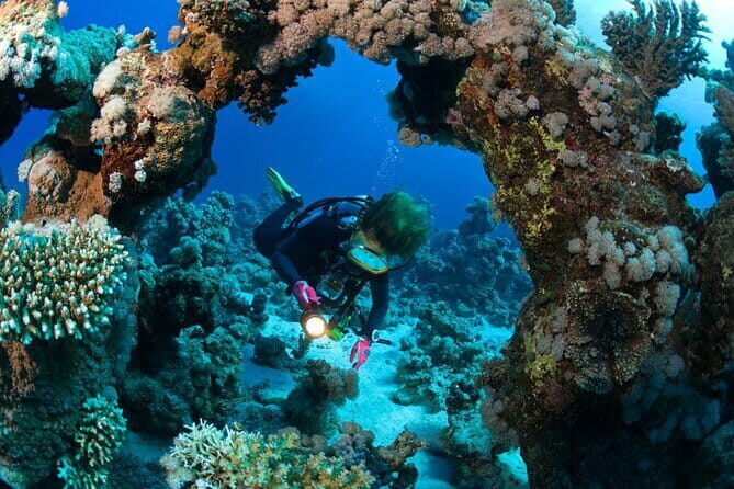 3 Fun dives in Phi Phi islands for Certified Divers - Key highlights