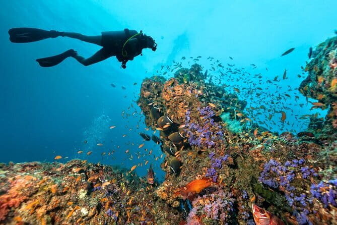 3 Fun dives in Phi Phi islands for Certified Divers - Why This Phi Phi Day Works for Certified Divers
