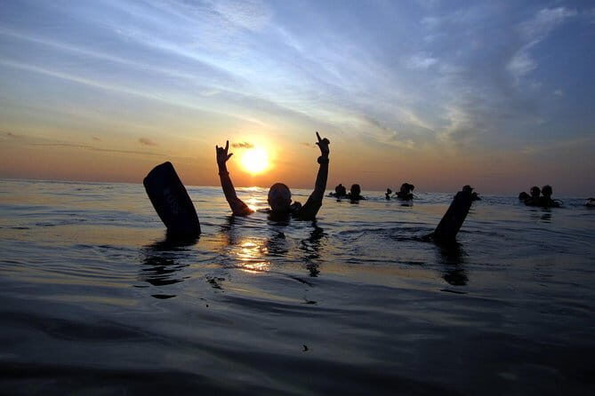 3 Fun dives in Phi Phi islands for Certified Divers - Price and Value: What You Pay and What You Still Owe