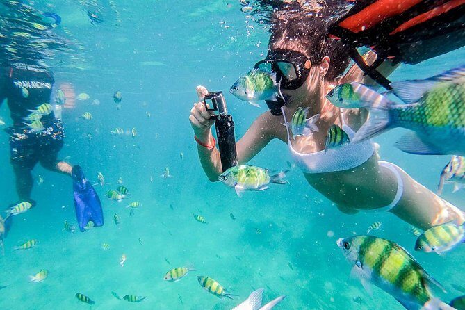 All-in Phi Phi, Maiton, MayaBay, Khai, Bamboo islands Tour - Why This Phi Phi Speedboat Loop Feels Like a Smart First Trip