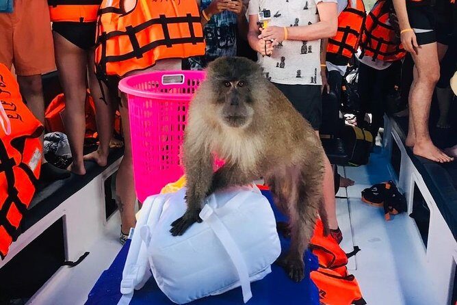 All-in Phi Phi, Maiton, MayaBay, Khai, Bamboo islands Tour - Phuket Pickup and the Shared Boat Reality (About 40 People)