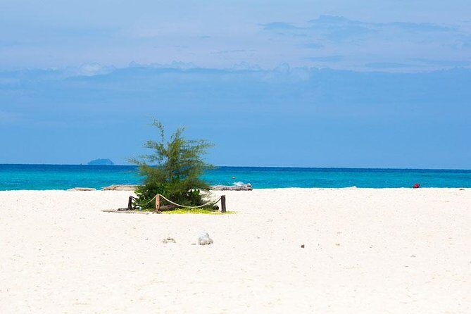 Bamboo Island, Maya Beach and Phi Phi Islands One Day Tour from Krabi - Viking Cave and Pileh Lagoon: photo stops with real scenery value