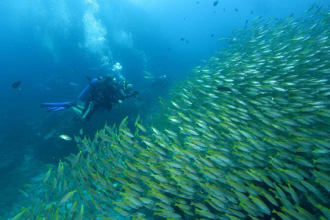 Dive Trip to Phi Phi from Phuket for certified divers - Meeting at Chalong and getting picked up on time