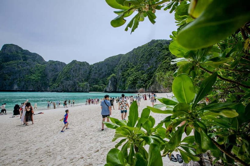 From Phi Phi: Half-Day Longtail Boat Tour to Maya Bay - Key things I’d plan around