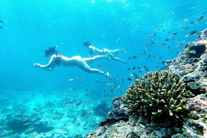 From Phuket: Phi Phi, Maya and Bamboo Islands Full Day Visit - Pileh Cove Emerald Lagoon and Viking Cave: Scenic Cruising Plus Photo Stops
