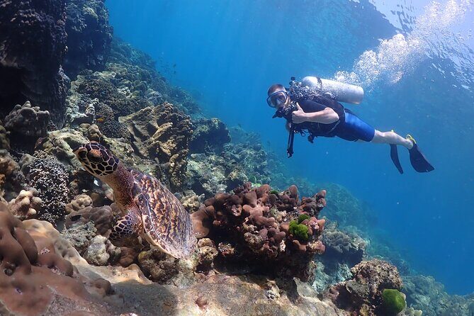 Full-Day Koh Phi Phi Scuba Diving Course from Phuket - The underwater plan: two sessions around Koh Phi Phi (with an optional third in some schedules)