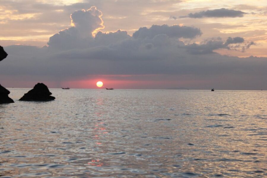 Ko Phi Phi Don: Speedboat Day Trip with Shark Snorkeling - Who This Tour Suits Best on Ko Phi Phi Don
