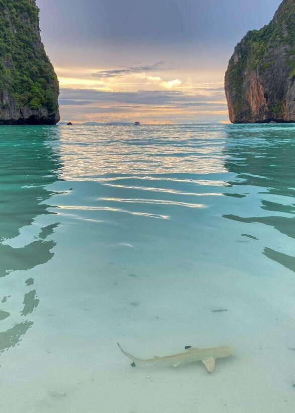 Koh Phi Phi: Maya Bay Private Longtail Boat Tour - Meeting point at Blue Flow Travel: the easiest start you can have on Phi Phi