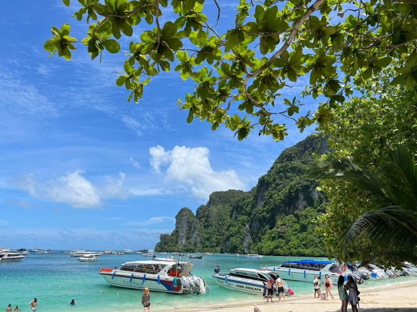 Krabi: One Day Phi Phi Island by speed boat ( Join ) - Speedboat day from Krabi: the rhythm, the timing, the payoff
