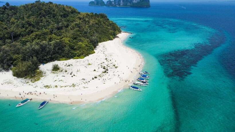 Krabi: Phi Phi Islands Speedboat Tour with Buffet Lunch - Loh Samah Bay, Then the Maya Bay Walk You Can’t Skip