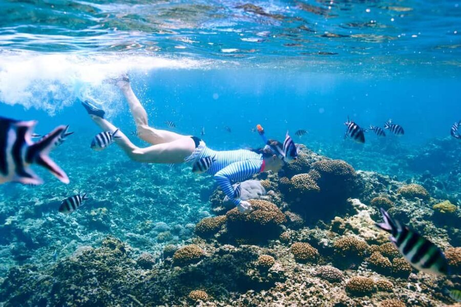Krabi: Premium Phi Phi Islands Day Trip with Lunch & Snorkel - A Boat Day on Phi Phi Islands That Actually Feels Manageable