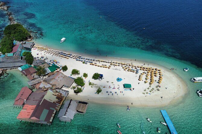 One Day Phi Phi, Maya And Khai Islands Adventure - Monkey Beach: quick wildlife views without losing the plot