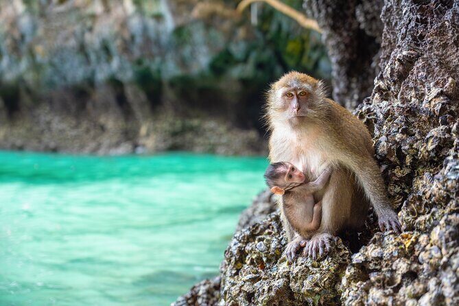 Phi Phi 1 Day tour by speed catamaran with Phuket transfers - Pileh Bay: a calmer pause for swimming and unwinding