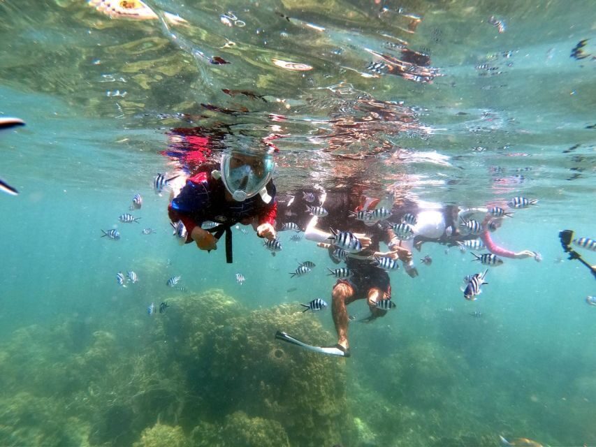 Phi Phi: Half-Day Phi Phi Snorkeling Trip by Longtail Boat - Pi Leh Lagoon: when the cliffs feel like you’ve stepped inside a secret
