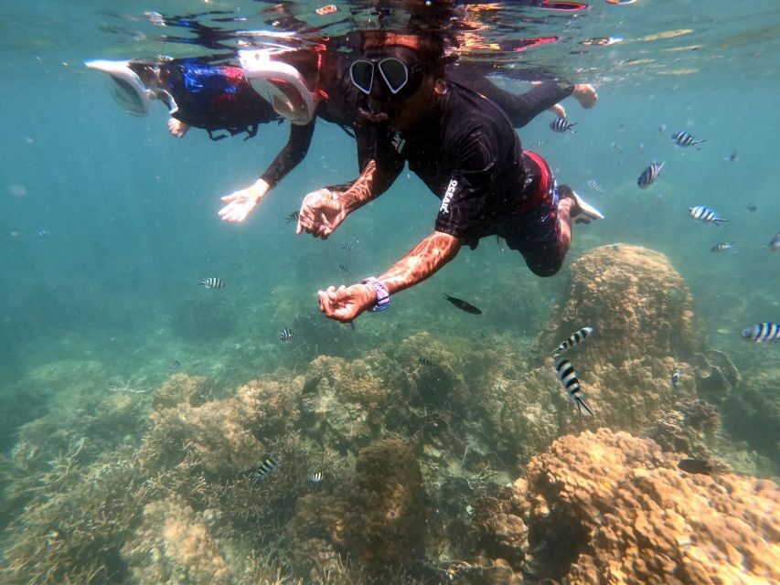 Phi Phi: Half-Day Phi Phi Snorkeling Trip by Longtail Boat - Price and value: $26 is the headline, but the park fee changes the math
