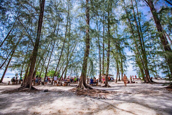 Phi Phi Island and Bamboo Island Snorkeling Tour From Krabi - The Group Size and the Boat Comfort Factor