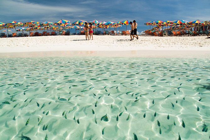 Phi Phi Island from Phuket by Speedboat (SHA Plus) - Phi Phi Leh sights: Maya Bay, lagoons, and why plans can shift