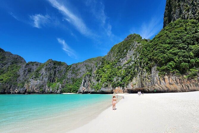 Phi Phi Island Speedboat Tour from Krabi - Monkey Beach: watching macaques from the boat