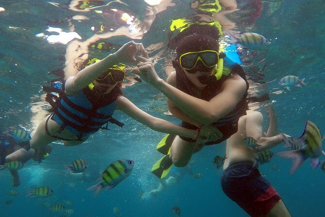 Phi Phi Islands Day Tour Bamboo and Maya Bay with Lunch By Speedboat - Monkey Beach: wildlife rules you should respect