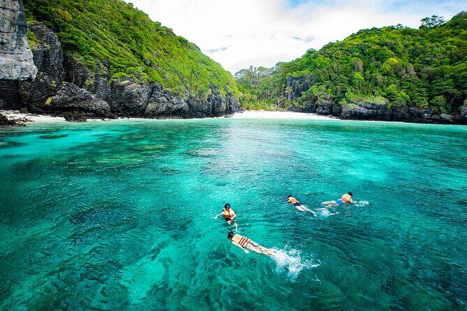 Phi Phi Islands One Day Tour By Speedboat from Krabi - Pileh Bay and Loh Samah Bay snorkeling: where the reef does the talking