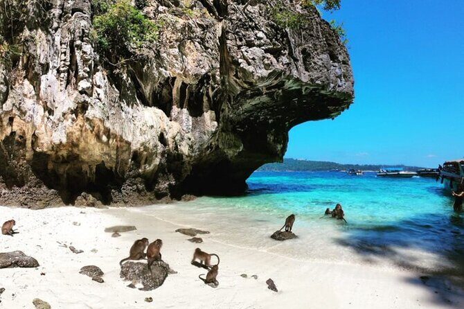 Phi Phi Islands Speedboat Tour Adventure from Krabi - Lunch on Phi Phi Don: how to use the meal time well