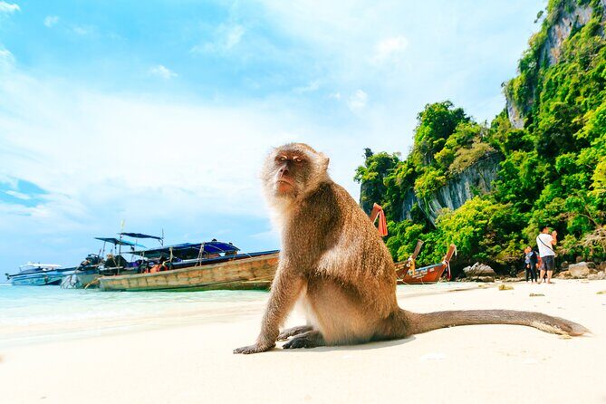 Phi Phi, James Bond & Krabi Overnight - Exclusive 2D1N - Bamboo Island and the Phi Phi Don swim break: your final beach-and-snorkel payoff