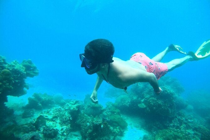 Phi Phi & Khai Islands Speedboat Tour from Phuket with Snorkeling - Key things to know before you go