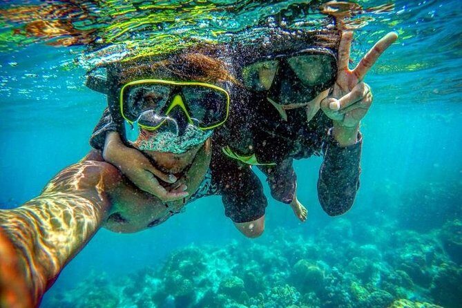 PHI PHI & MAYA & BAMBOO Premium Catamaran Max 28 pax - Snorkeling at Phi Phi Don: What You’re Actually Buying