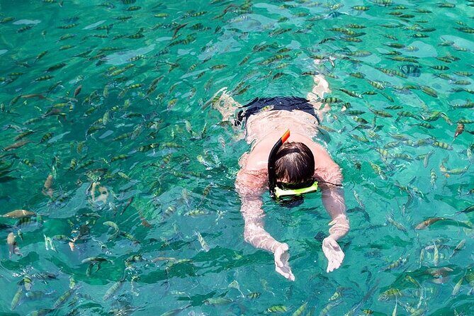 Phi Phi, Maya Bay, Bamboo by Private VIP boat - Phi Phi Islands main time: 5 hours to see, swim, and reset
