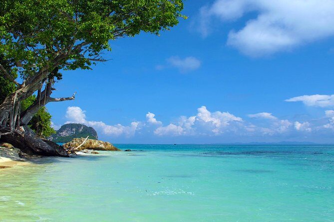Phi Phi & Maya Bay Speedboat: All-Day Food & Choice of 3 Marinas - Snorkeling Time and Gear: What’s Included vs What Costs Extra