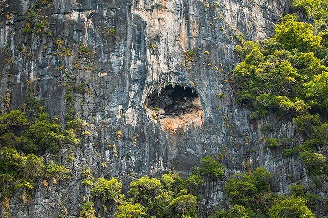 Phi Phi, Maya, Khai and Pileh Day Trip by Speed Catamaran From Phuket - What’s included (and why it changes the cost equation)