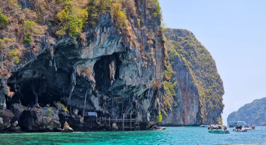 Phi Phi: Morning Speedboat Tour to Maya Bay with Snorkel - Monkey Bay and the macaques: cool wildlife, clear boundaries