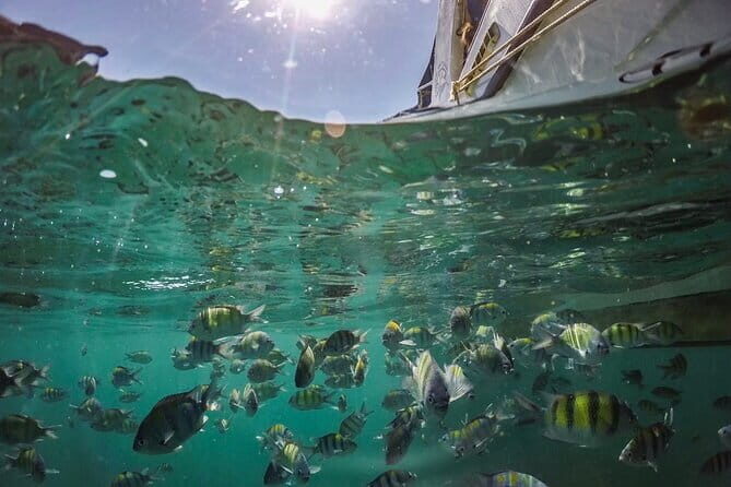 Phi Phi with Maya and Bamboo Island Day Trip by Speedboat - Bamboo Island: White Sand Time That Feels Like a Reset