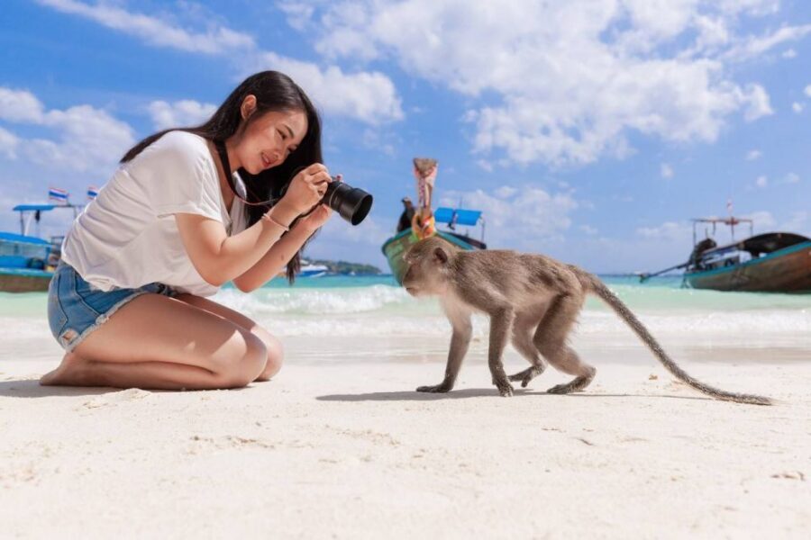 Phuket: Phi Phi Islands and Maya Bay Day Trip with Lunch - Zcoco Beach Finish: A Calmer End to a Fast Day