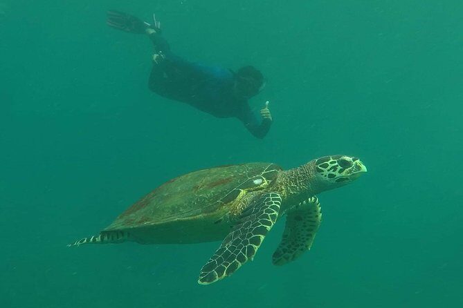 Private Phi Phi & 4 Islands Sunset Cruise by Speedboat - from Krabi - Ko Bida Nok + Monkey Beach: snorkeling and then a breather