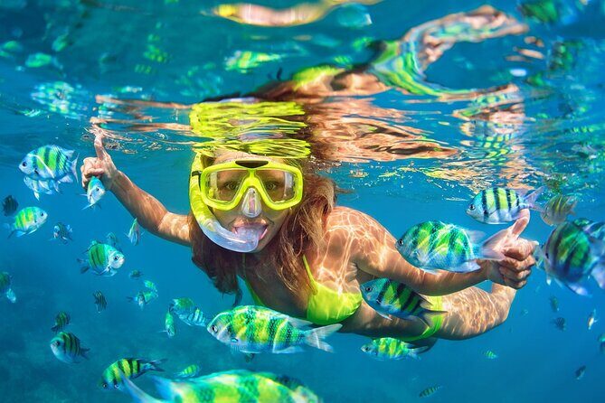 Private Phi Phi and Bamboo Islands Snorkeling Tour by Speedboat - Snorkeling: how the plan supports an easier day