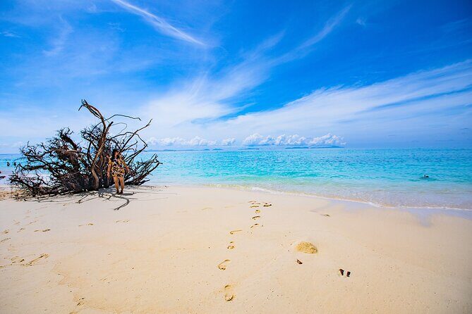 Sea Breeze Calm You On Phi Phi Islands Tour From Krabi - Weather, sea conditions, and why your day can shift