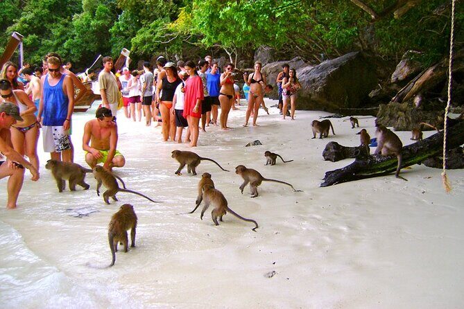 VIP Private Boat to Phi Phi Island: Snorkeling + Land Tour - Price and value: when $999 per person makes sense