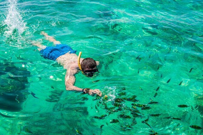 VIP Private Boat to Phi Phi Island: Snorkeling + Land Tour - Who should book this Phi Phi VIP day?